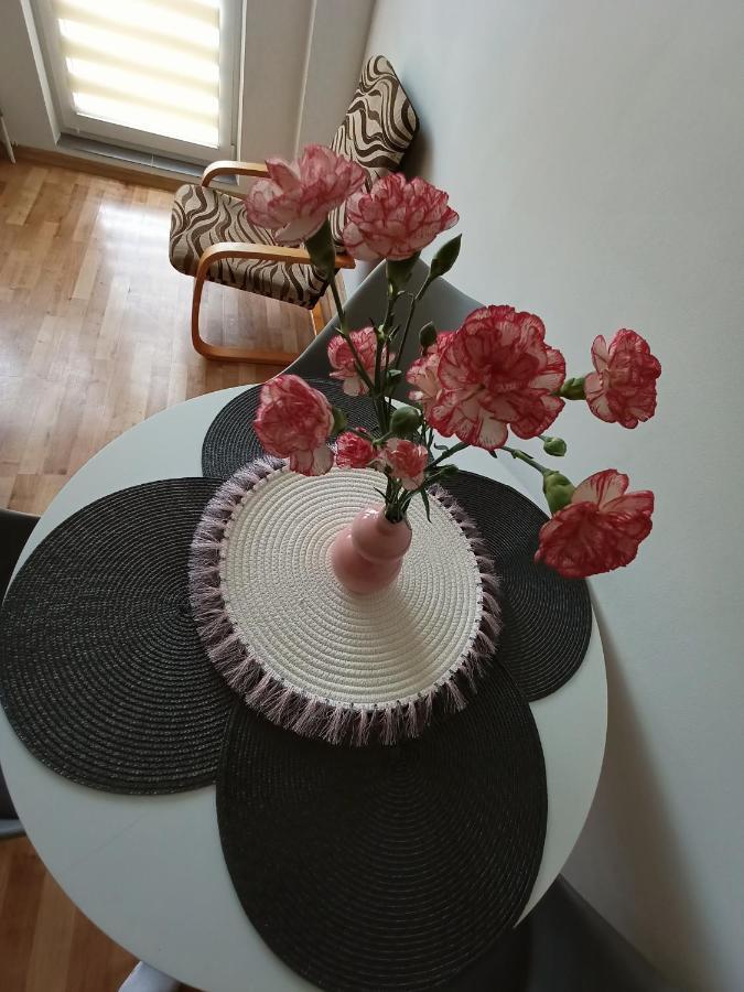 Apartament Udane Wczasy Giżycko Zewnętrze zdjęcie